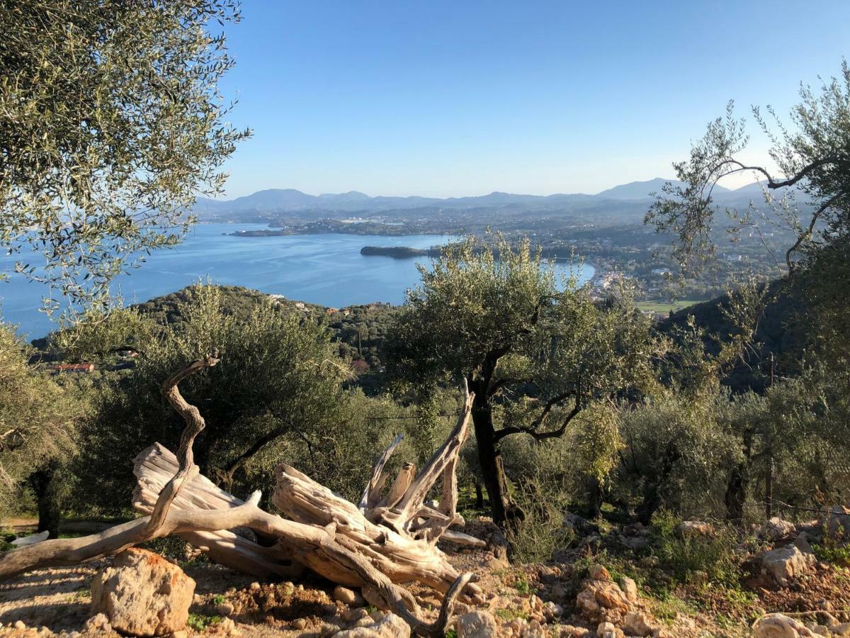 House Tanna Of Villa Intaba Spectacular Sea Views Corfiot Riviera Spartilas Corfu Island Greece Close To Ipsos Beach Spartylas Exteriör bild